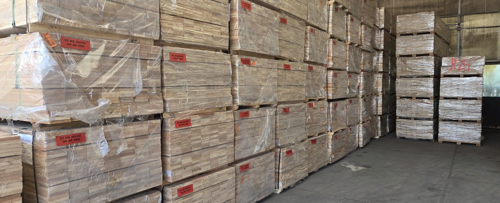 MODRZEW 24x142 RABAT 25% na zakup od 19.02 do 6.03 