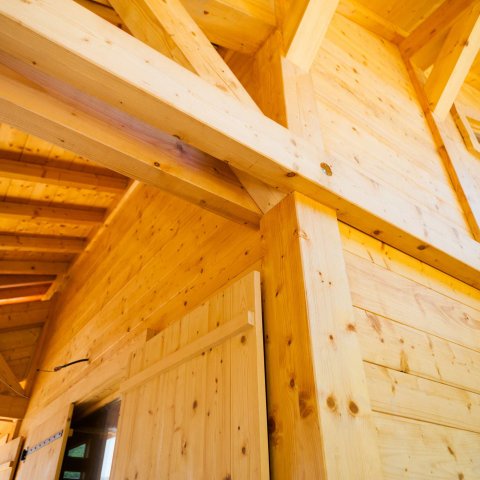 BSH - innowacyjne drewno konstrukcyjne o wyjątkowych właściwościach: zastosowania i korzyści