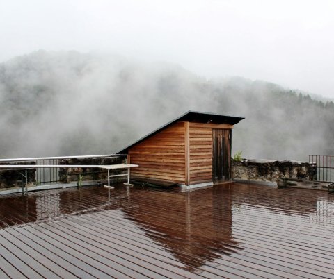 Deski tarasowe drewniane – jak wybrać najlepszy gatunek i zadbać o taras na lata?