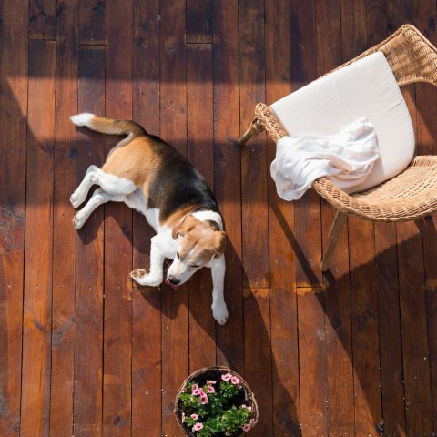 Jaki taras wybrać? Poradnik dla osób kupujących taras z desek