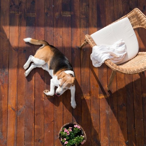 Taras drewniany czy kompozytowy – co lepiej wybrać?