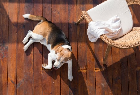 Taras drewniany czy kompozytowy – co lepiej wybrać?