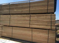 Tarcica Modrzew Syberyjski 32x100 KD SF